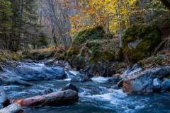 Paysages-de-Matheysine-©-Brieuc-Coessens-ImaginAlp_Photographe-realisation-video-drone-Alpes-Isere-78