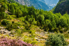 Paysages-de-Matheysine-©-Brieuc-Coessens-ImaginAlp_Photographe-realisation-video-drone-Alpes-Isere-90