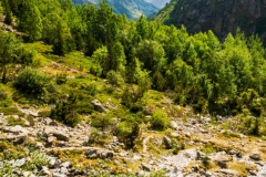 Paysages-de-Matheysine-©-Brieuc-Coessens-ImaginAlp_Photographe-realisation-video-drone-Alpes-Isere-91