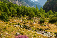 Paysages-de-Matheysine-©-Brieuc-Coessens-ImaginAlp_Photographe-realisation-video-drone-Alpes-Isere-92