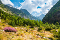 Paysages-de-Matheysine-©-Brieuc-Coessens-ImaginAlp_Photographe-realisation-video-drone-Alpes-Isere-93