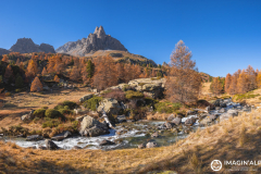 Photographie-nature-et-documentaire-a-La-Mure-Isere-Matheysine-Grenoble-Alpes-©-Brieuc-Coessens-112