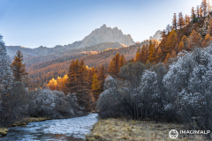 Photographie-nature-et-documentaire-a-La-Mure-Isere-Matheysine-Grenoble-Alpes-©-Brieuc-Coessens-114