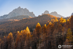 Photographie-nature-et-documentaire-a-La-Mure-Isere-Matheysine-Grenoble-Alpes-©-Brieuc-Coessens-115