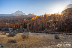 Photographie-nature-et-documentaire-a-La-Mure-Isere-Matheysine-Grenoble-Alpes-©-Brieuc-Coessens-116